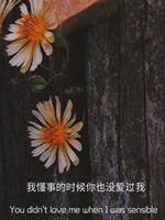 兩小不無猜