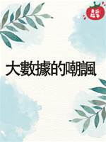 大數據的嘲諷
