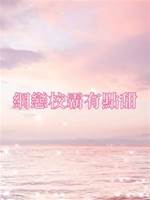 網戀校霸有點甜