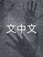 文中文