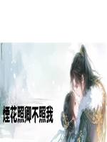 煙花照卿不照我