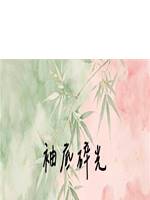 袖底碎光